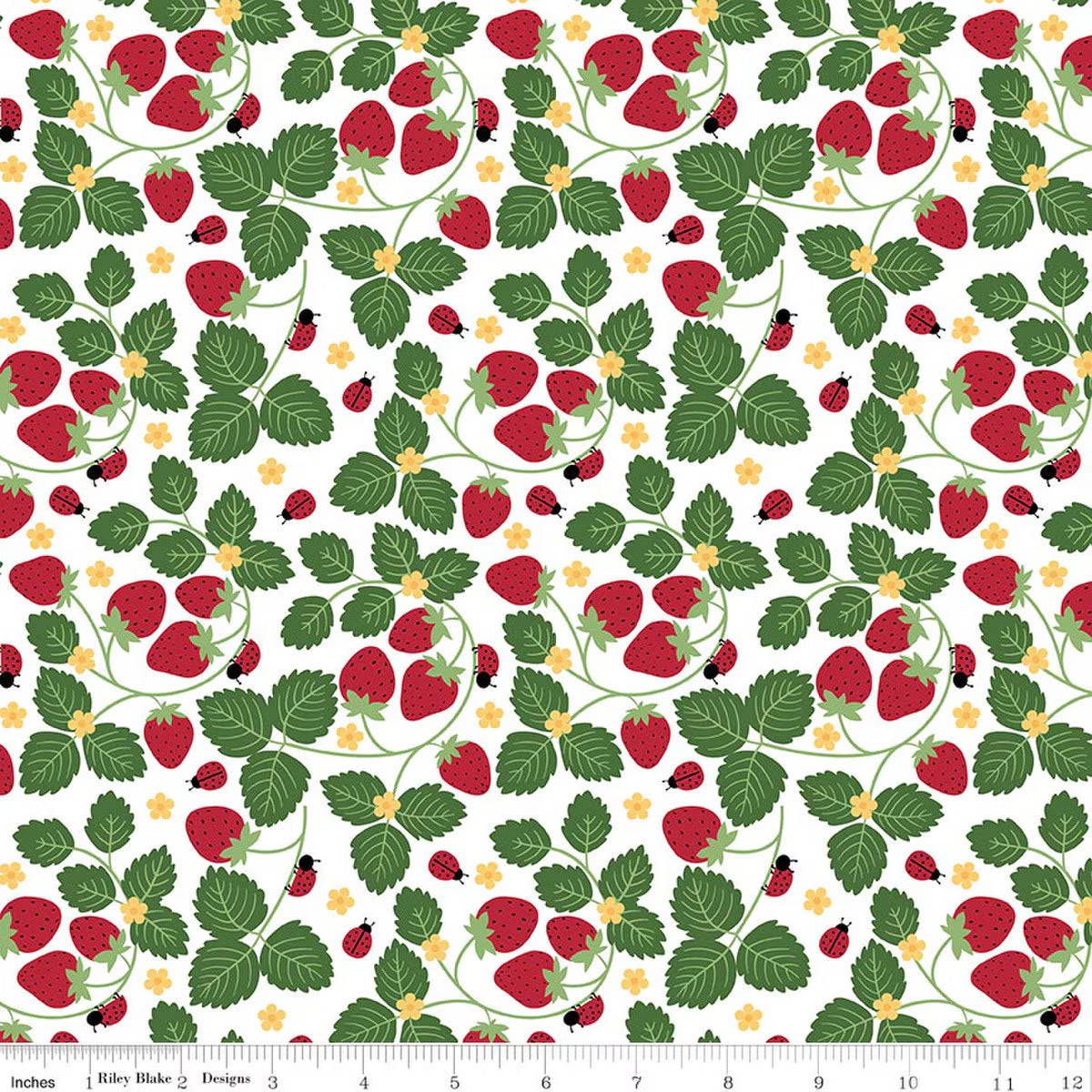 Little Ladybug / Strawberries in White