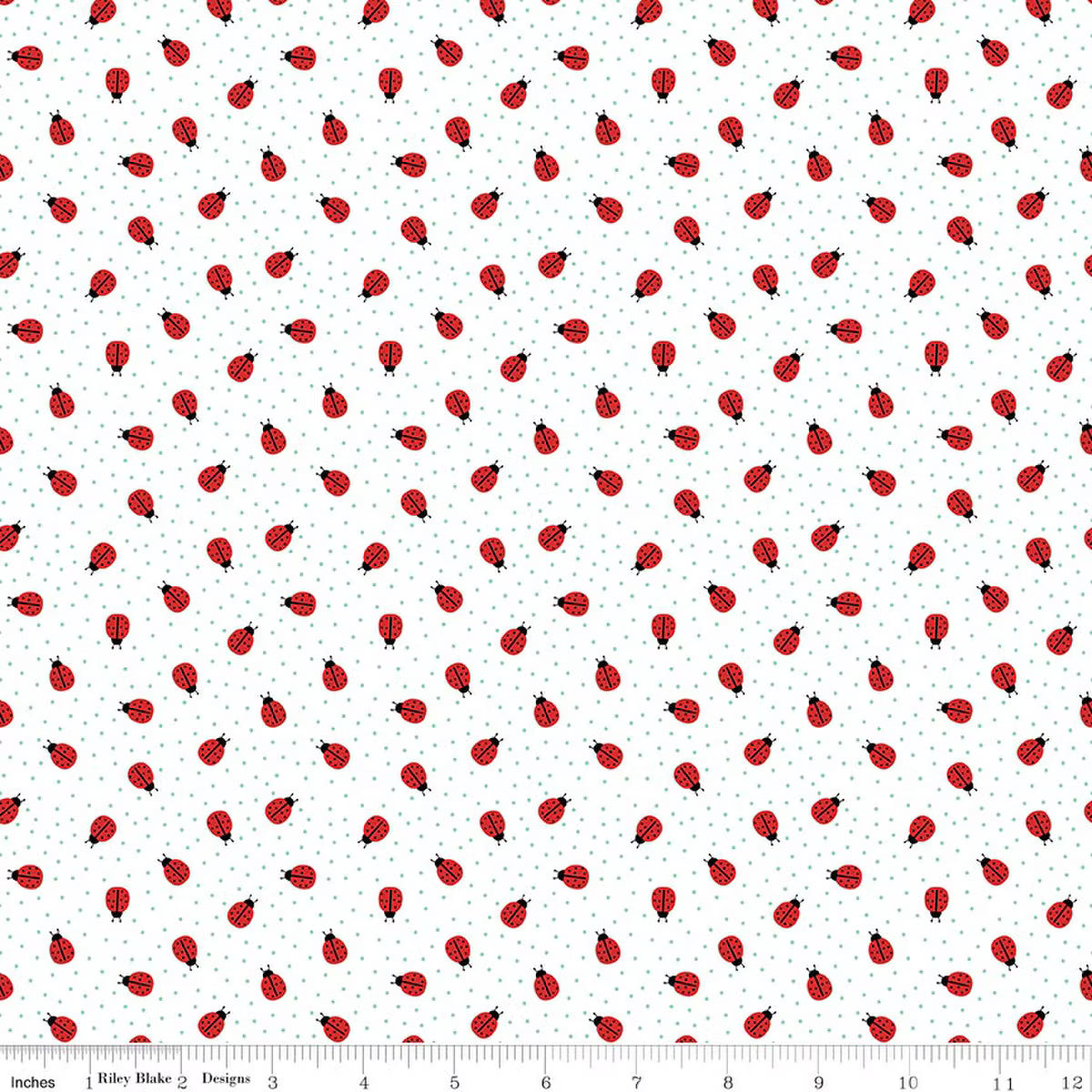 Little Ladybug / Ladybugs in White