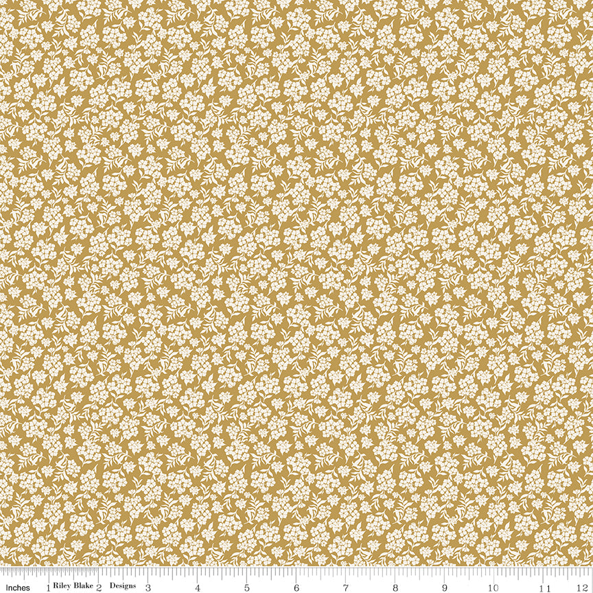 Before The Bloom / Viola in Gold