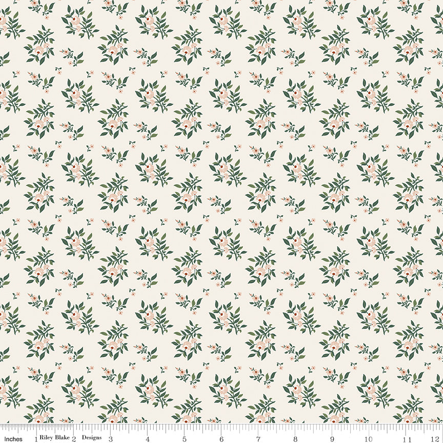 Before The Bloom / Juniper in Cream