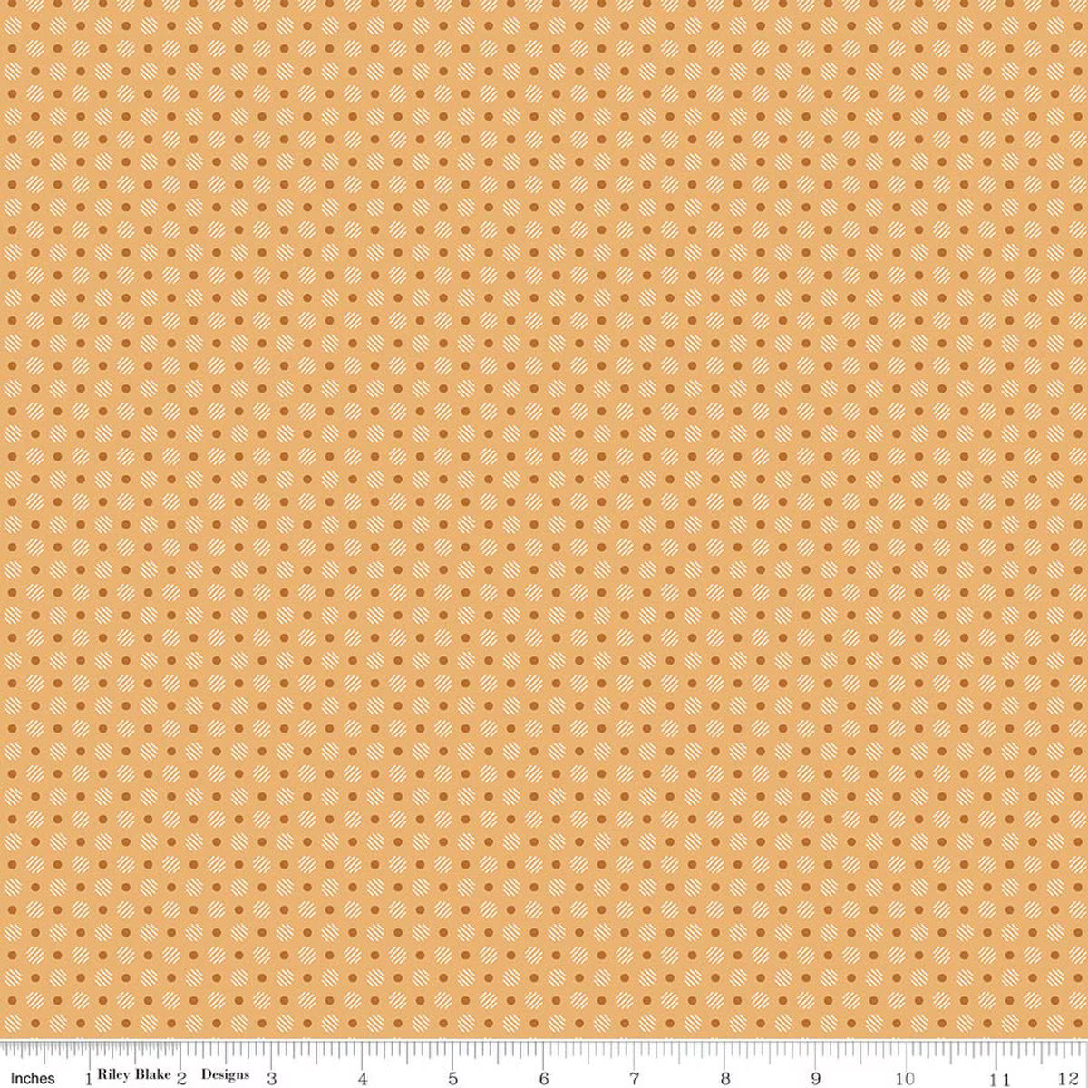 Denim & Daisy / Polka Dot in Daisy