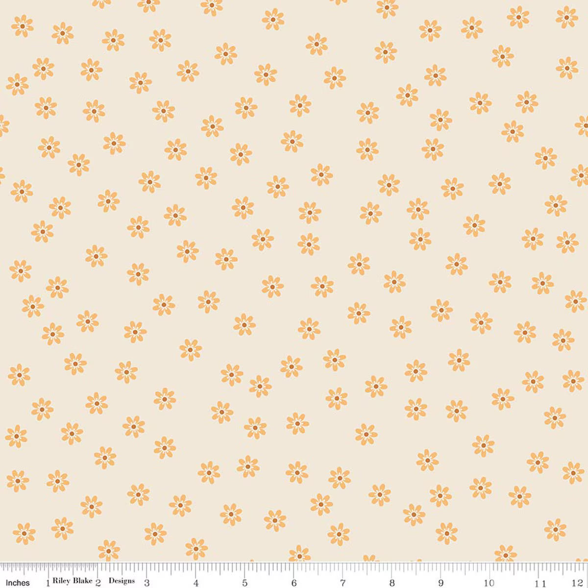 Denim & Daisy / Daises in Daisy