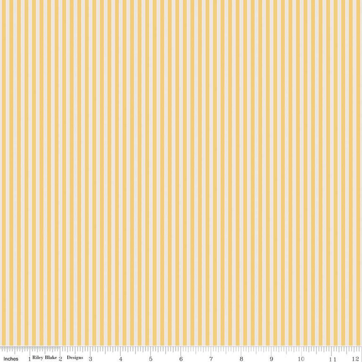 1/8" Stripe / Ivory in Honey