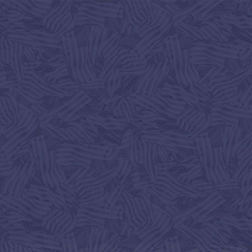 Path To Freedom / Tonal Flags in Indigo