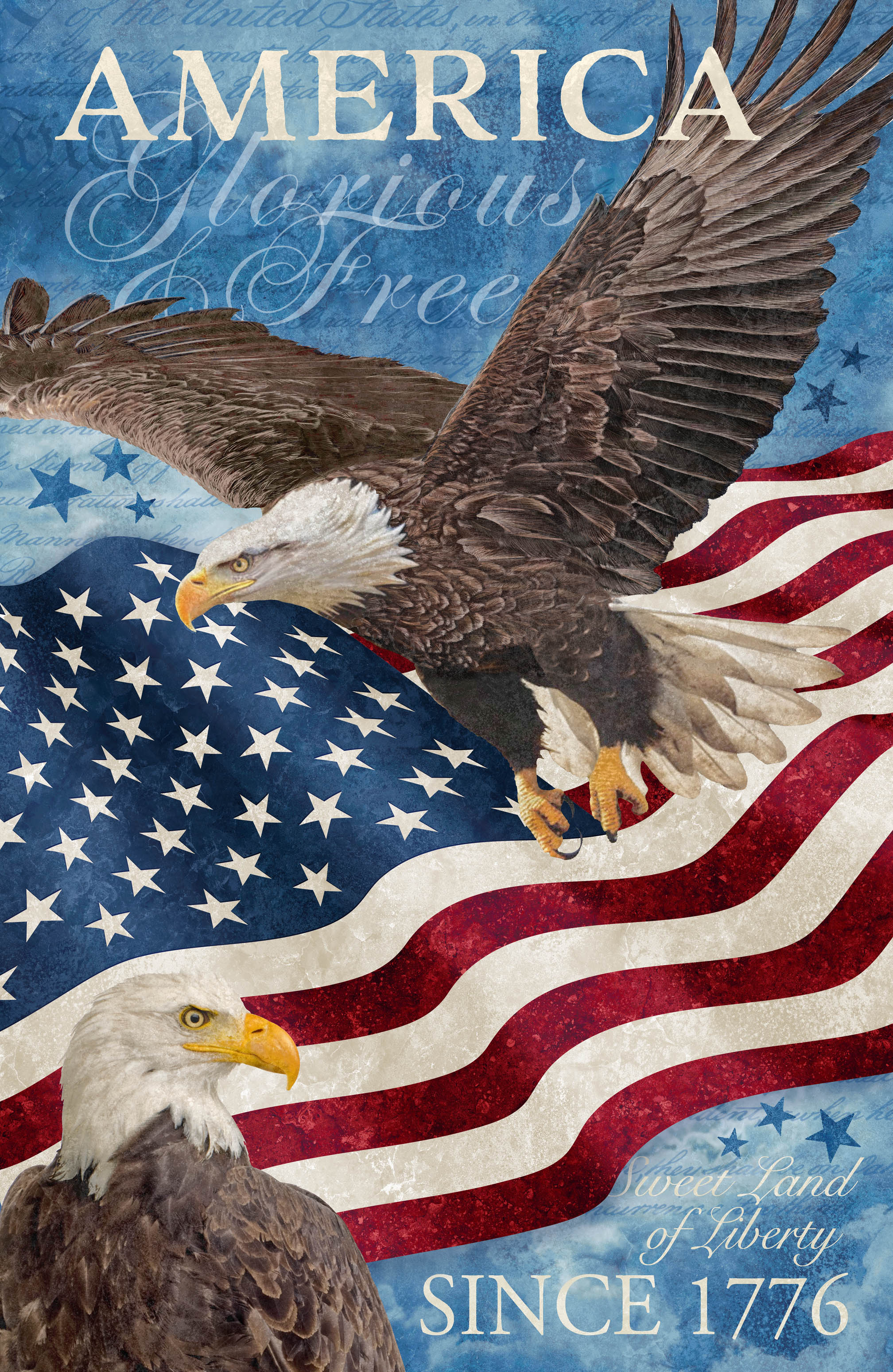 Stars & Stripes XIII Panel