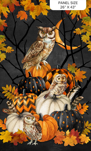 Night Owl Panel