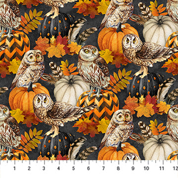 Night Owl / Owl & Feathers