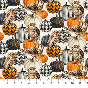 Night Owl / Owl & Pumpkin