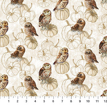 Night Owl / Owls