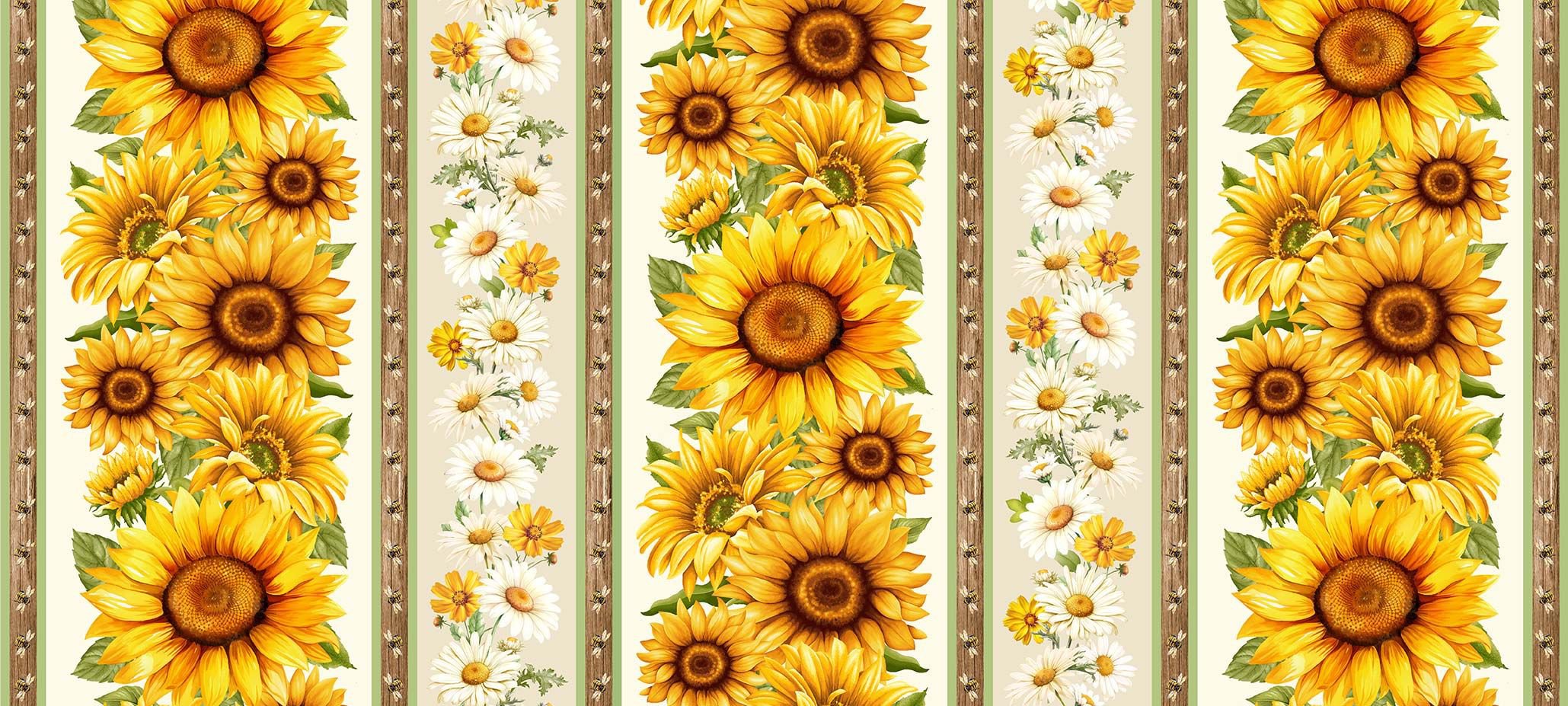 You Are My Sunshine / Sunflower Stripe