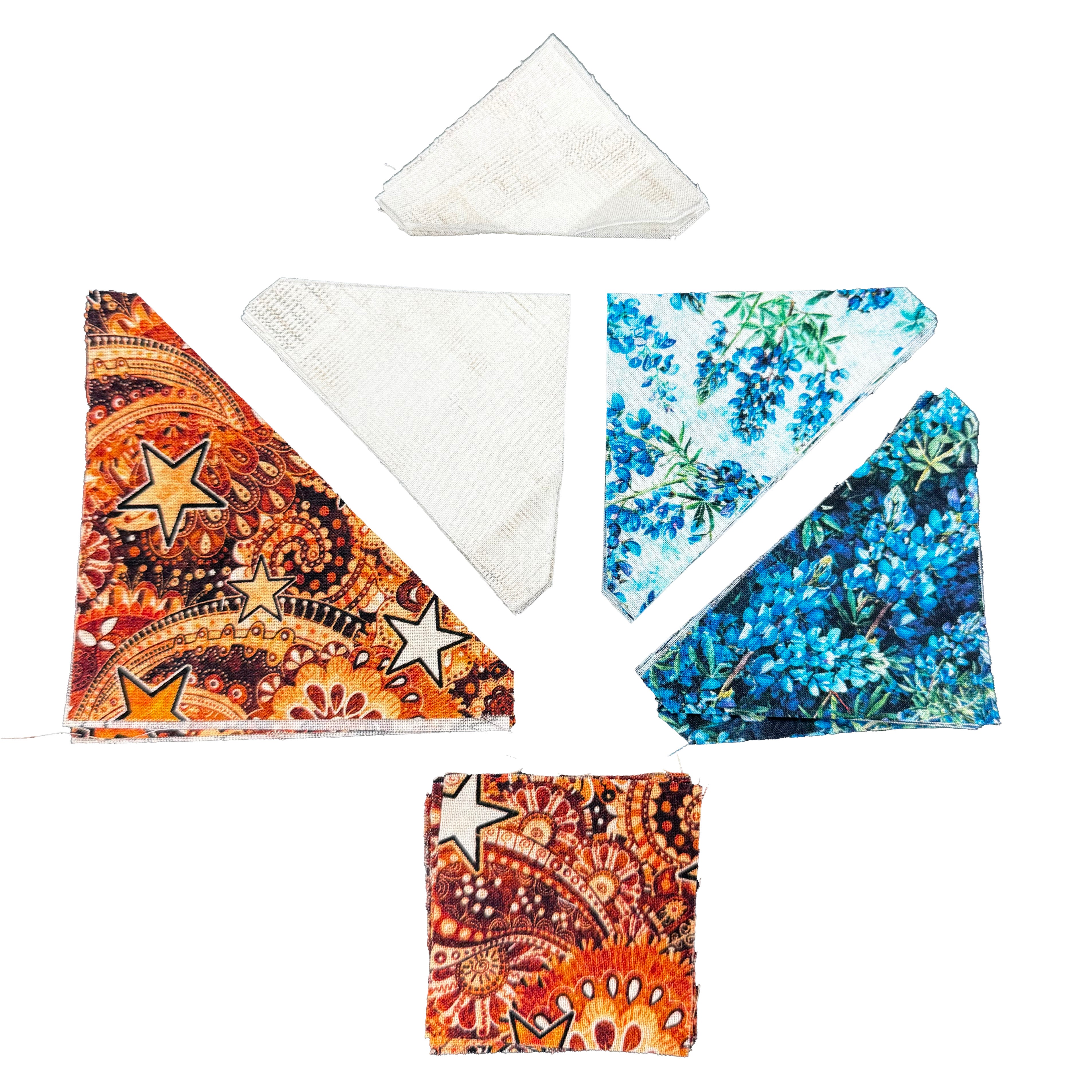 2026 All Texas Shop Hop / Pre-Cut Block Fabric Kit