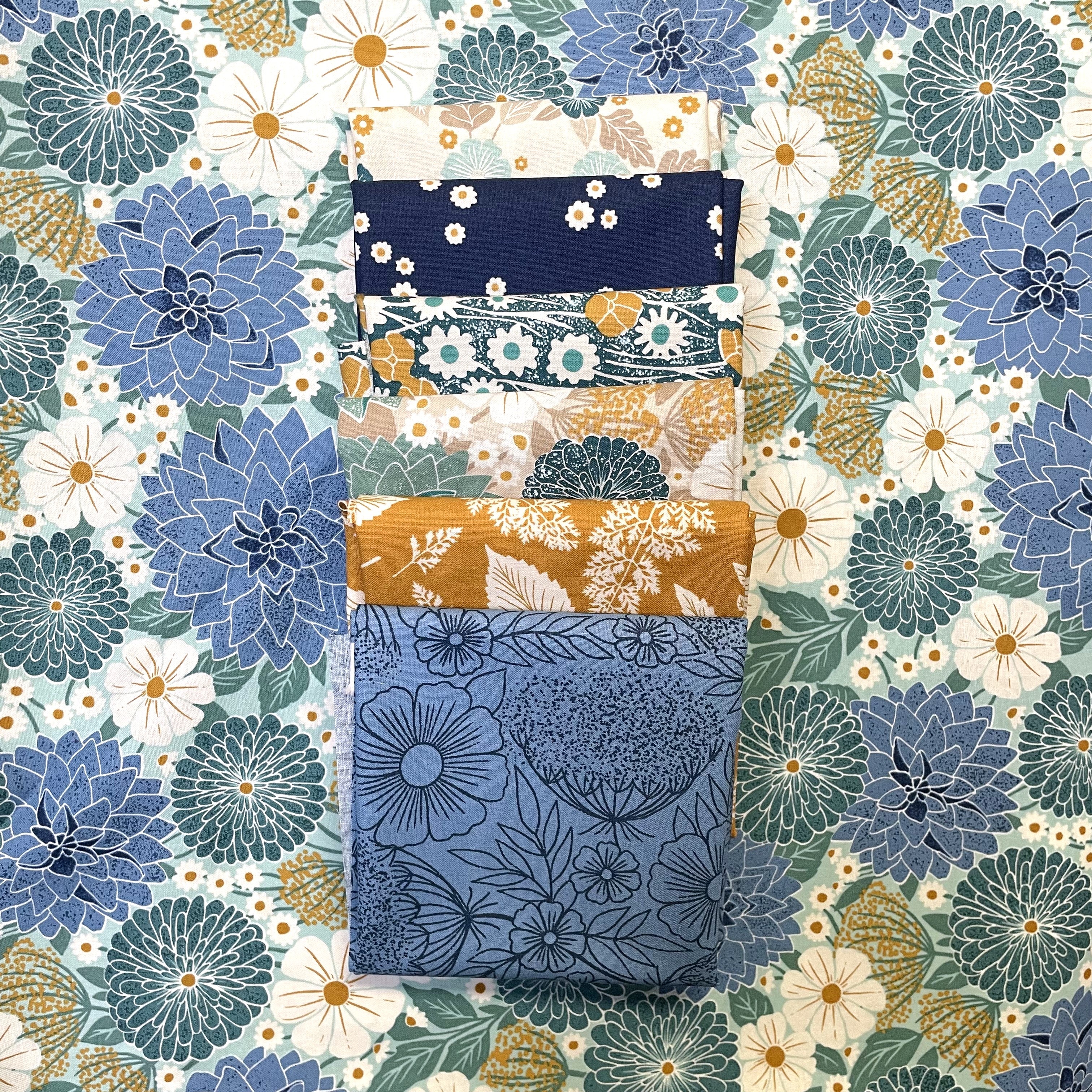 Stars of Asheville Fabric Kit / Field of Flowers