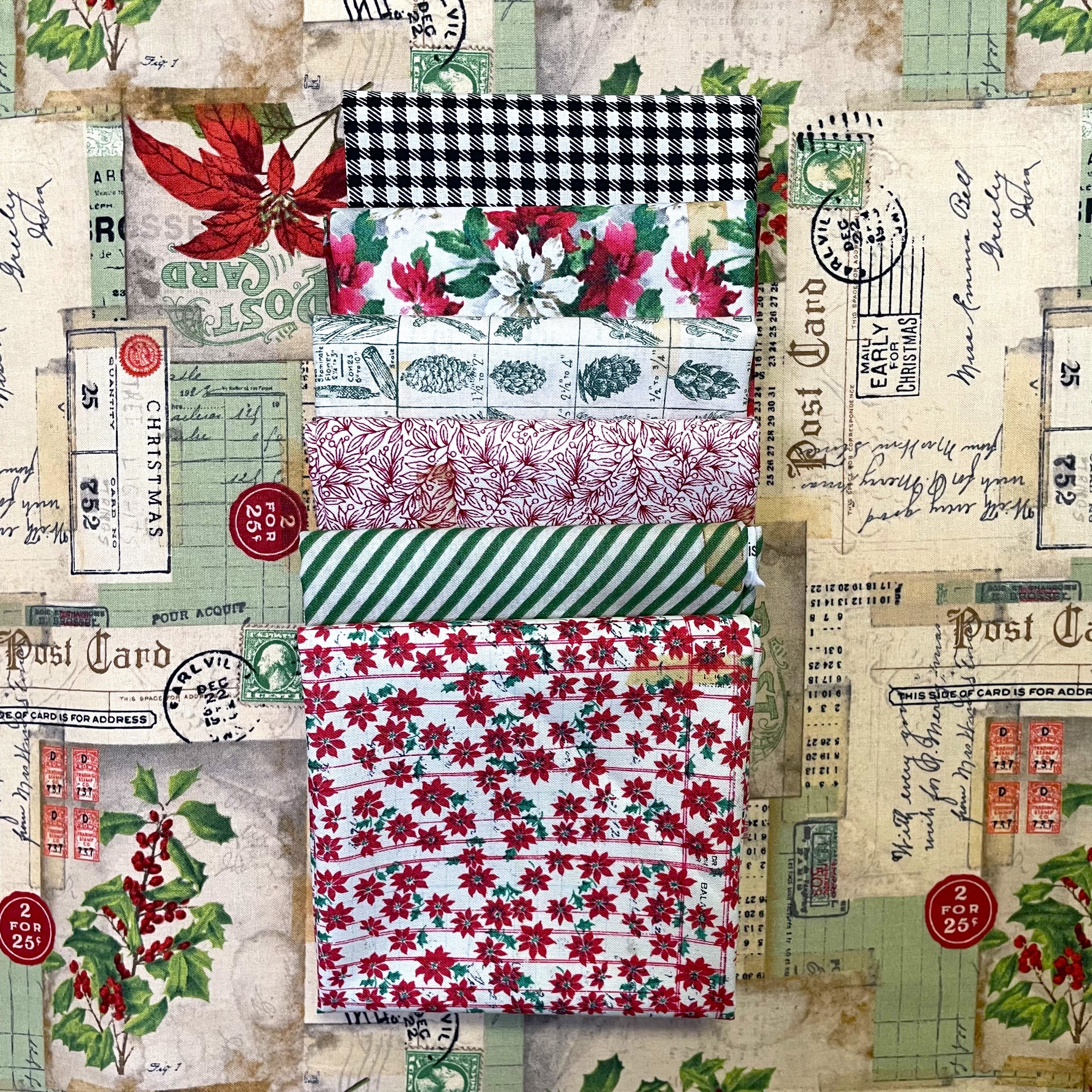 Stars of Asheville Fabric Kit / Holidays Past