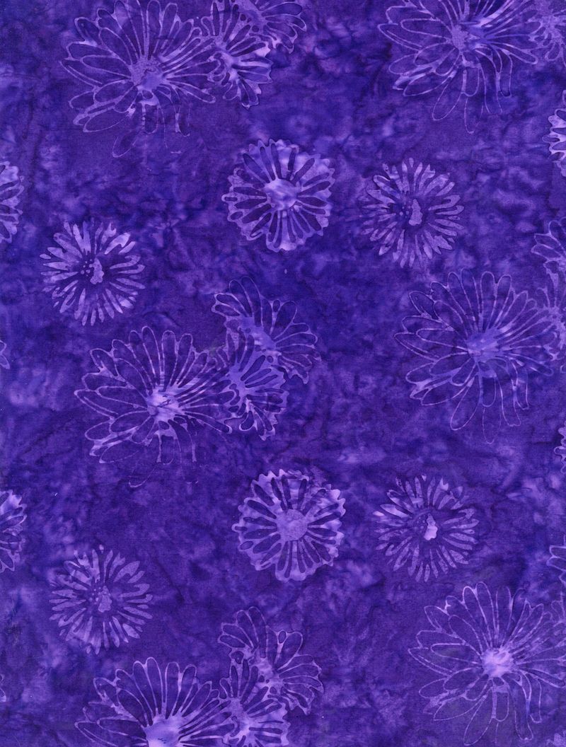 Dreamer / Tonga in Purple