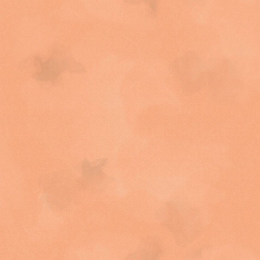 Colorstock / Brushstroke in Apricot