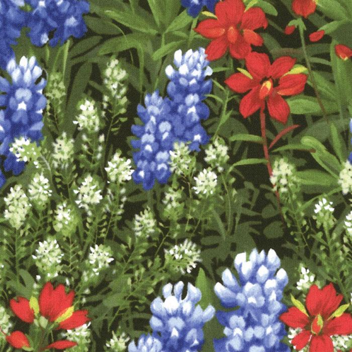 Wildflower Basics / Bluebonnets & Indian Paintbrushes