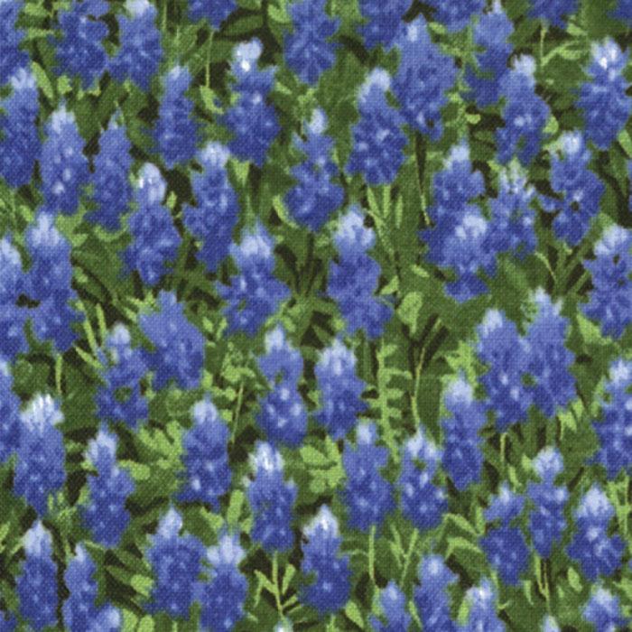 Wildflower Basics / Bluebonnets