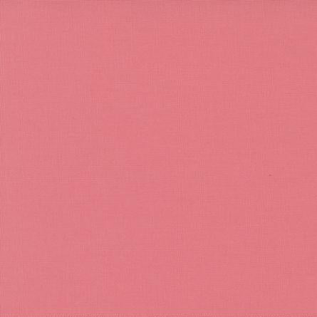 Bella Solids / Rose Water
