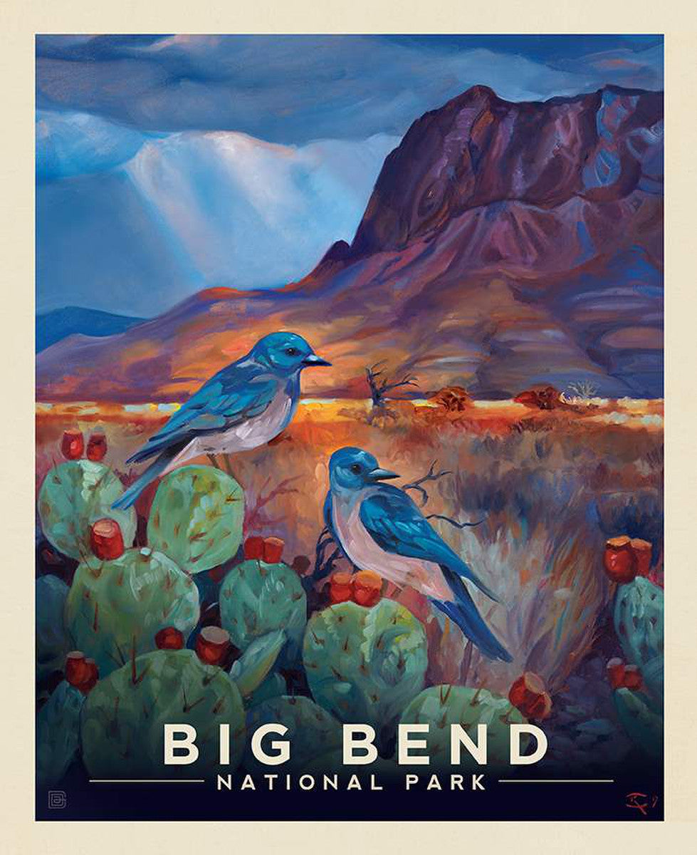 Big Bend National Park Panel