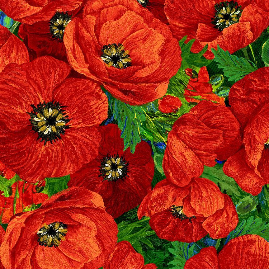 Poppy Dreams / Large Poppies