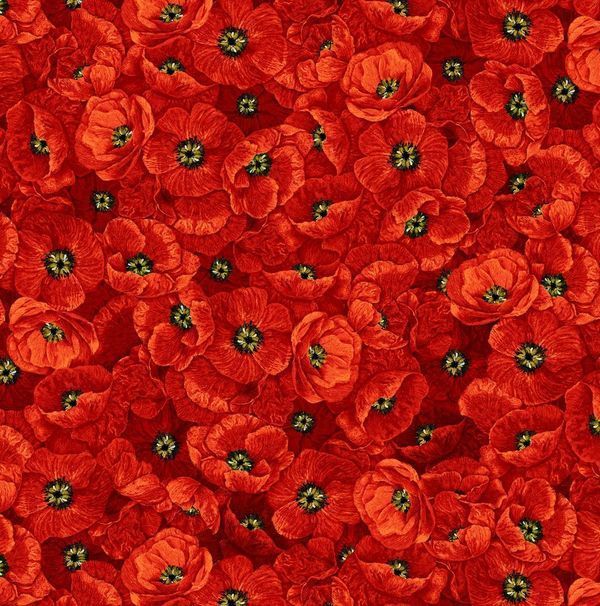 Poppy Dreams / Packed Poppies