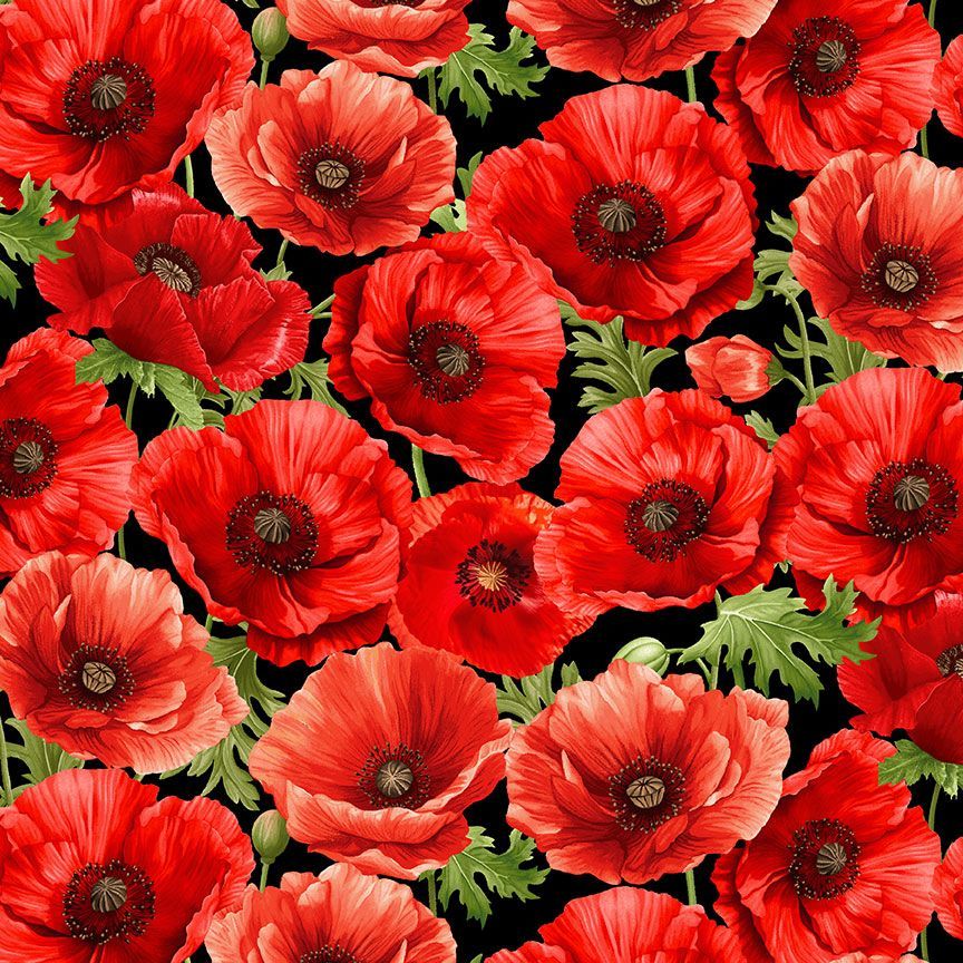 Poppy Passion / Large Poppies in Black