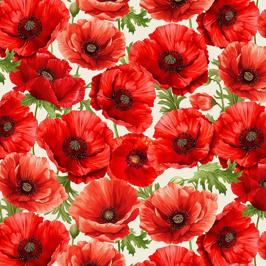 Poppy Passion / Large Poppies in Cream