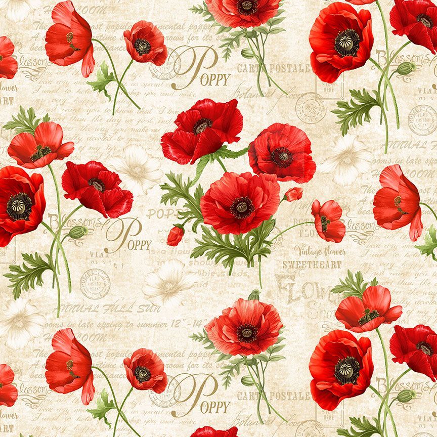 Poppy Passion / Poppies & Text in Cream