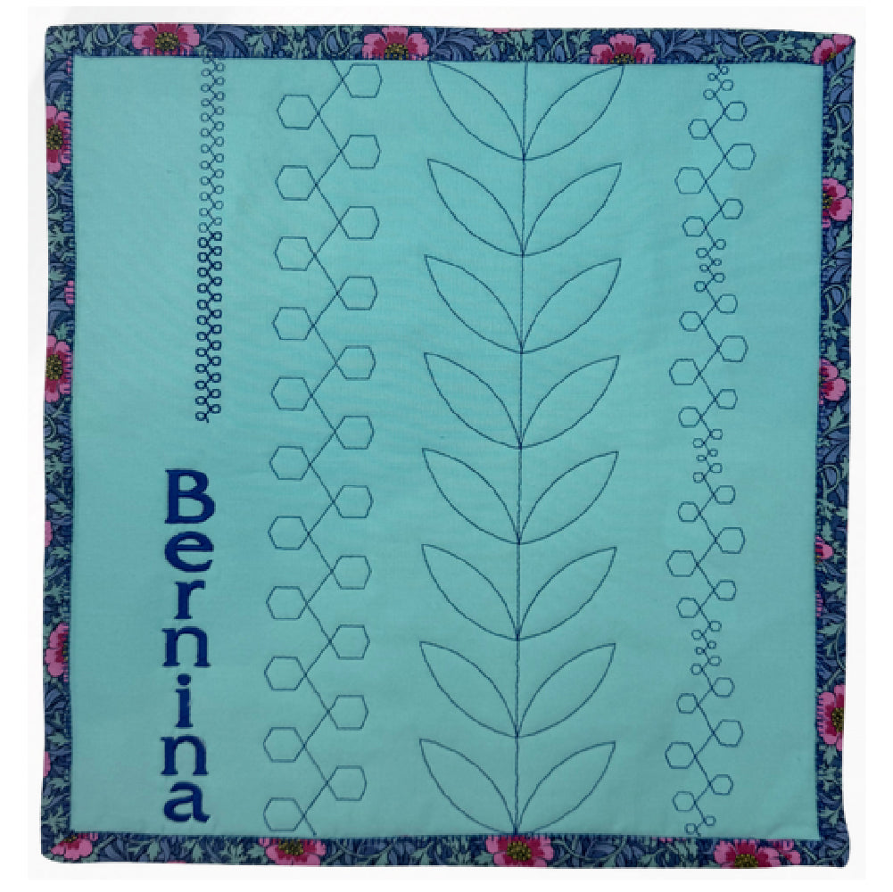 Bernina 990 Stitch-By-Stitch with Connie Flanders