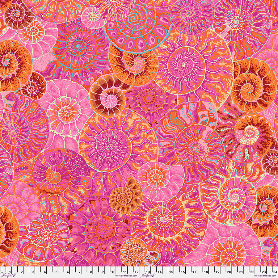 August 2024 / Ammonites in Pink