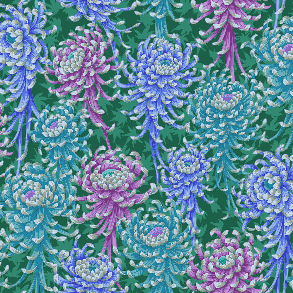 August 2025 / Spider Mums in Cool