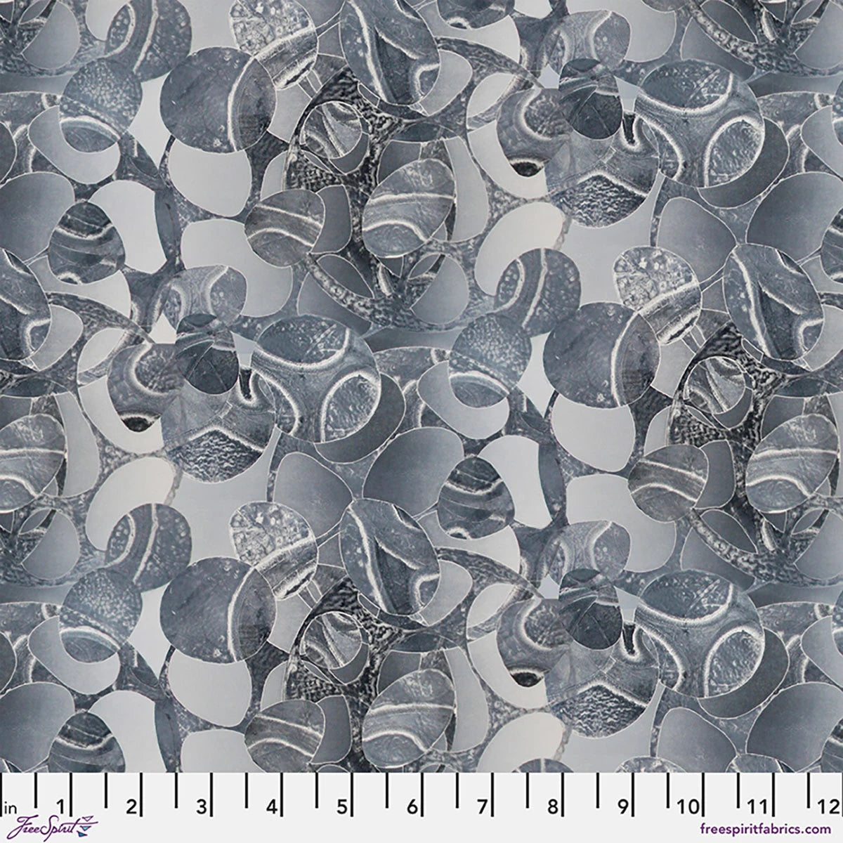 Into Focus / Gray Shadow in Silver