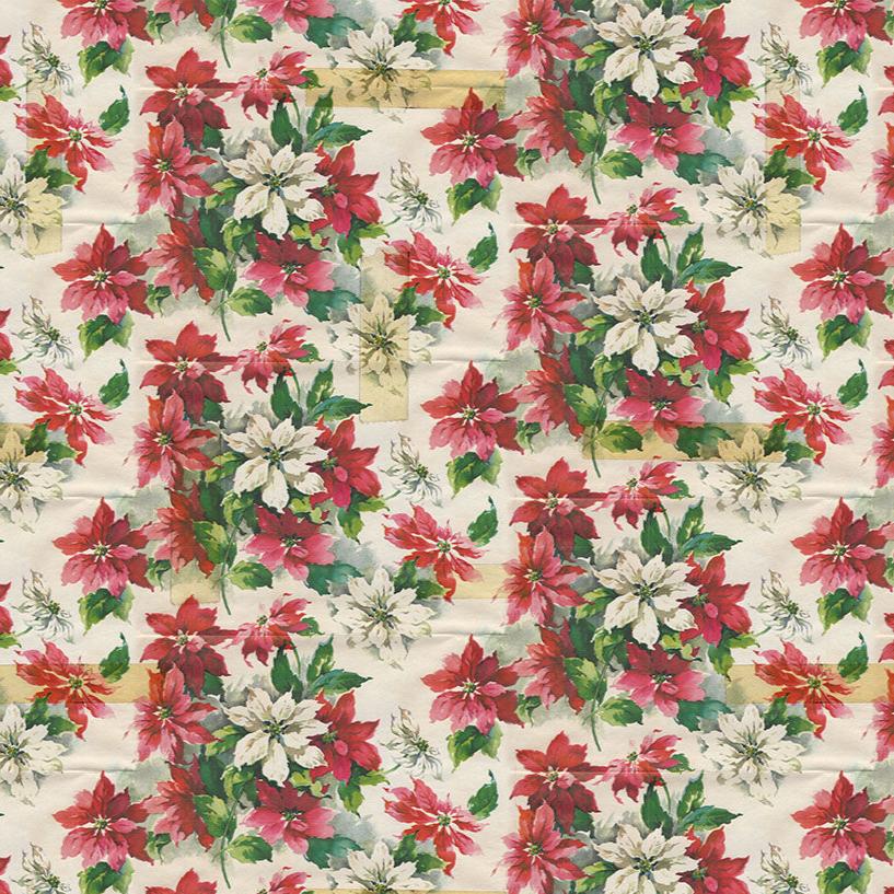 Holidays Past / Poinsettia Print