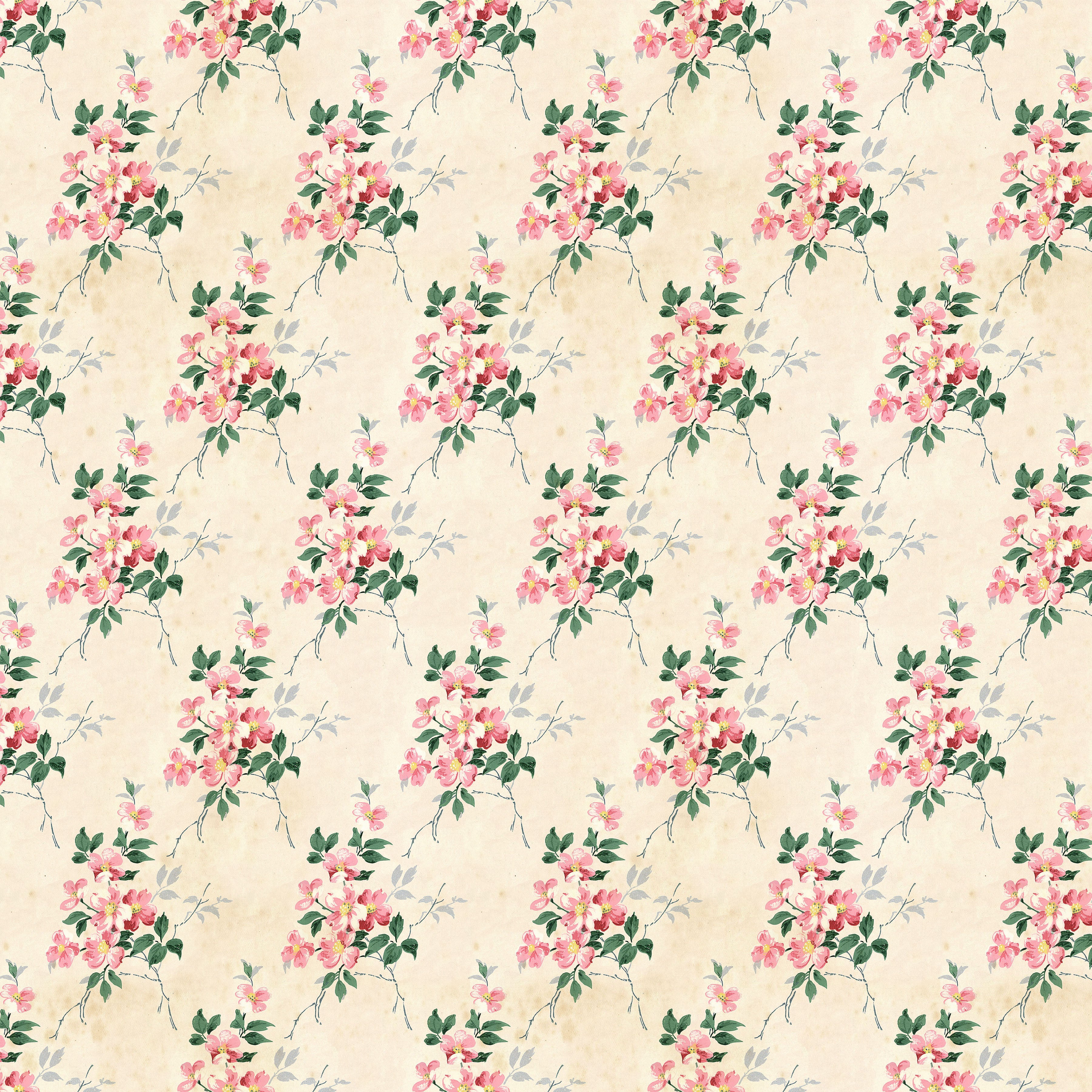 Pink Palette / Wallpaper