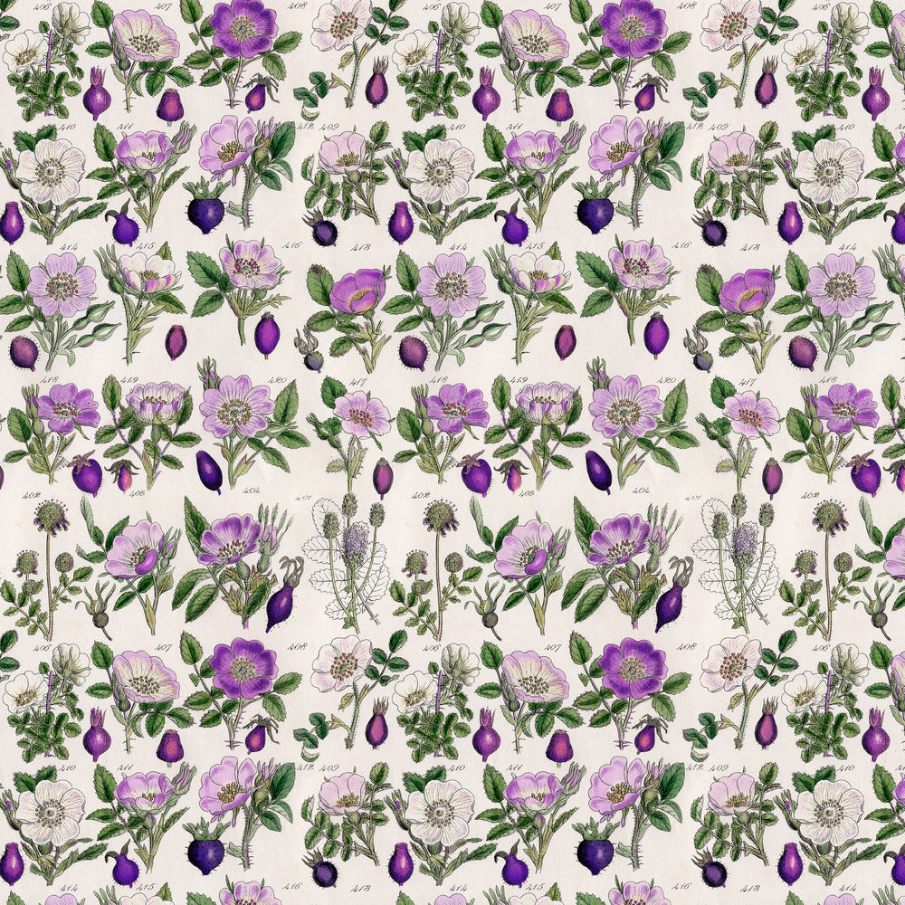 Purple Palette / Botanical