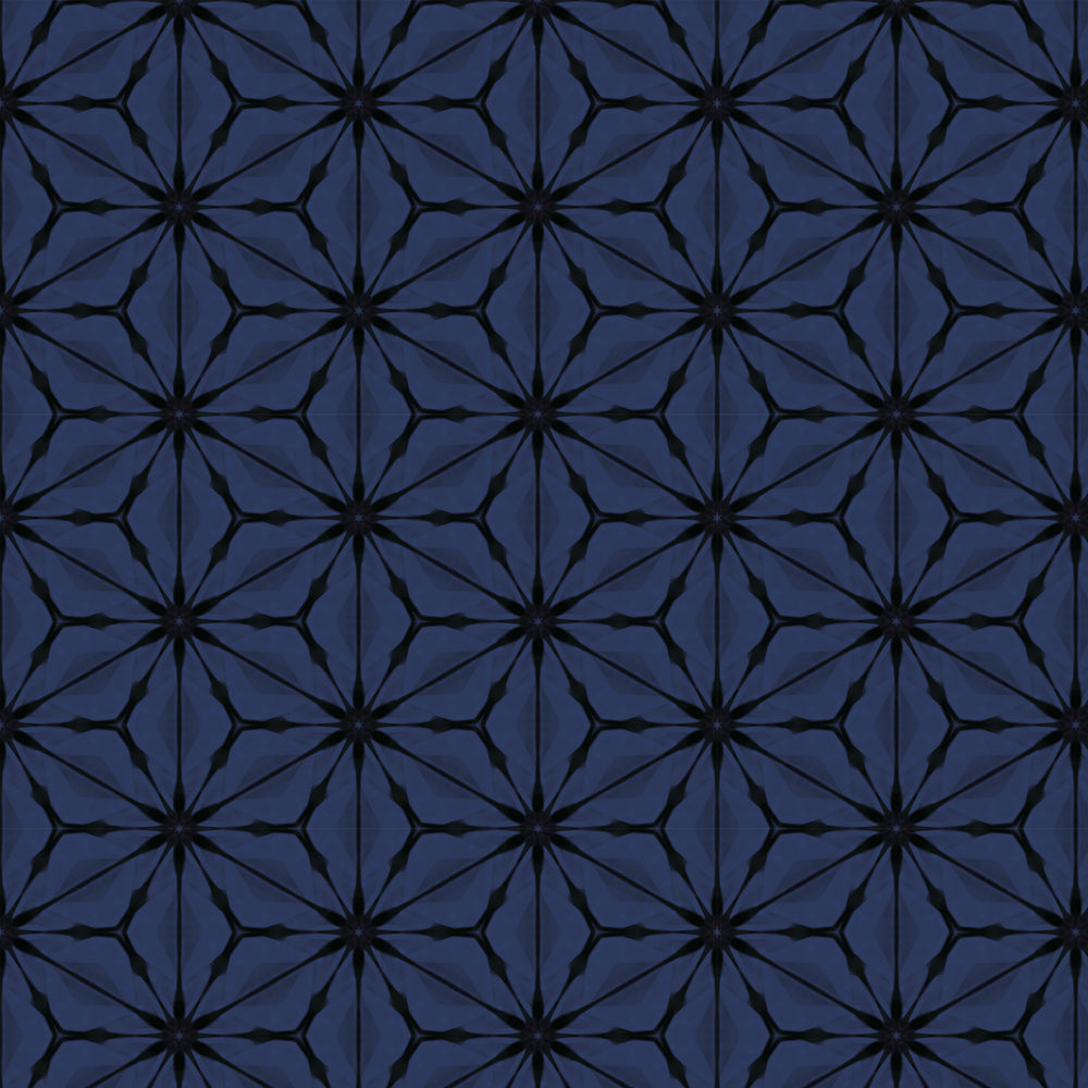 Kaleidoscope / Bloom