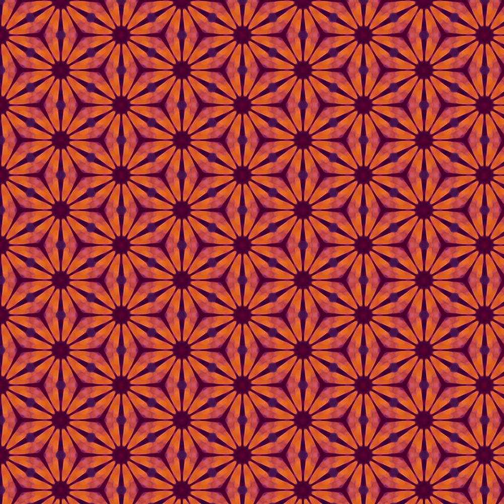 Kaleidoscope / Gerbera