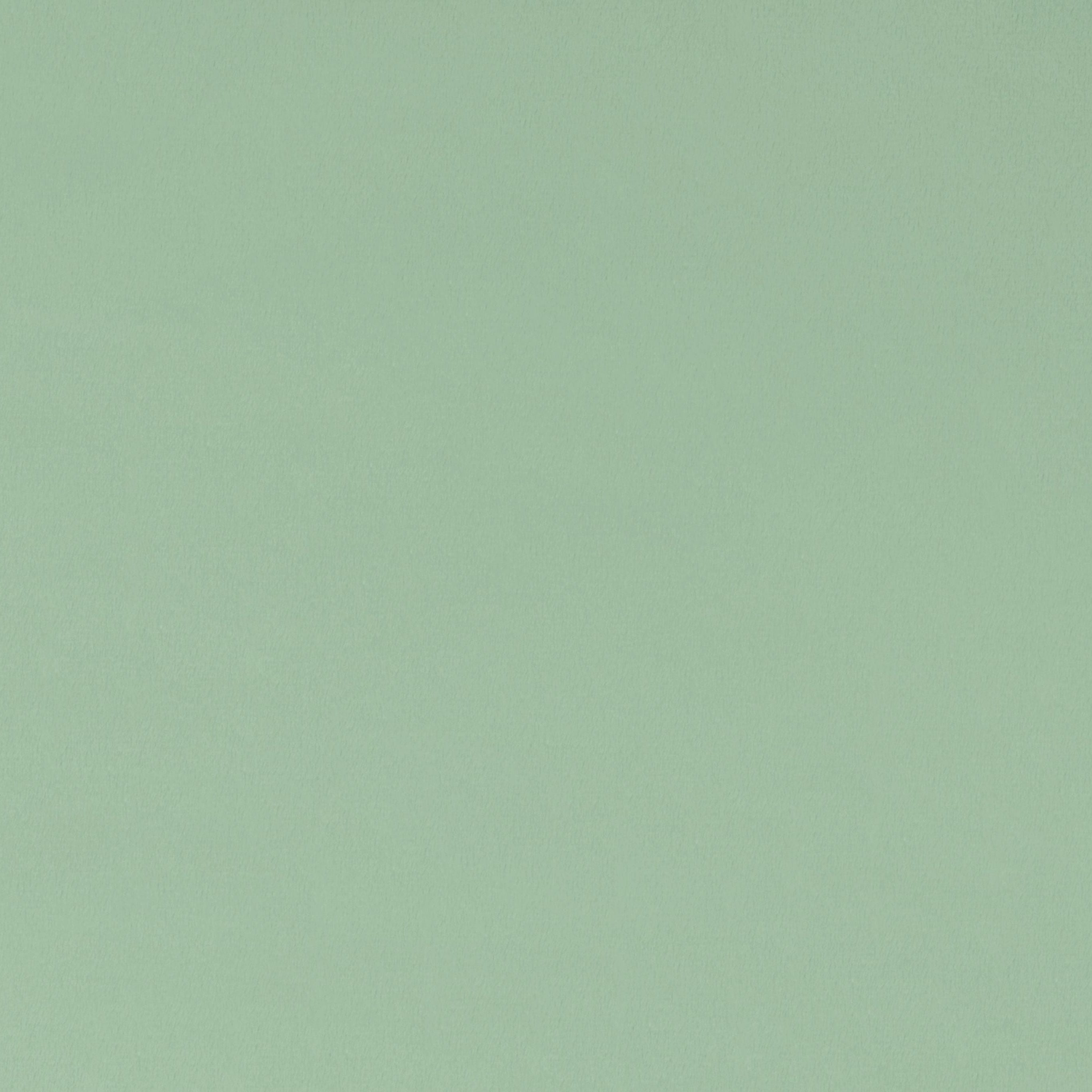 Quilting Cuddle® Solid / Meadow