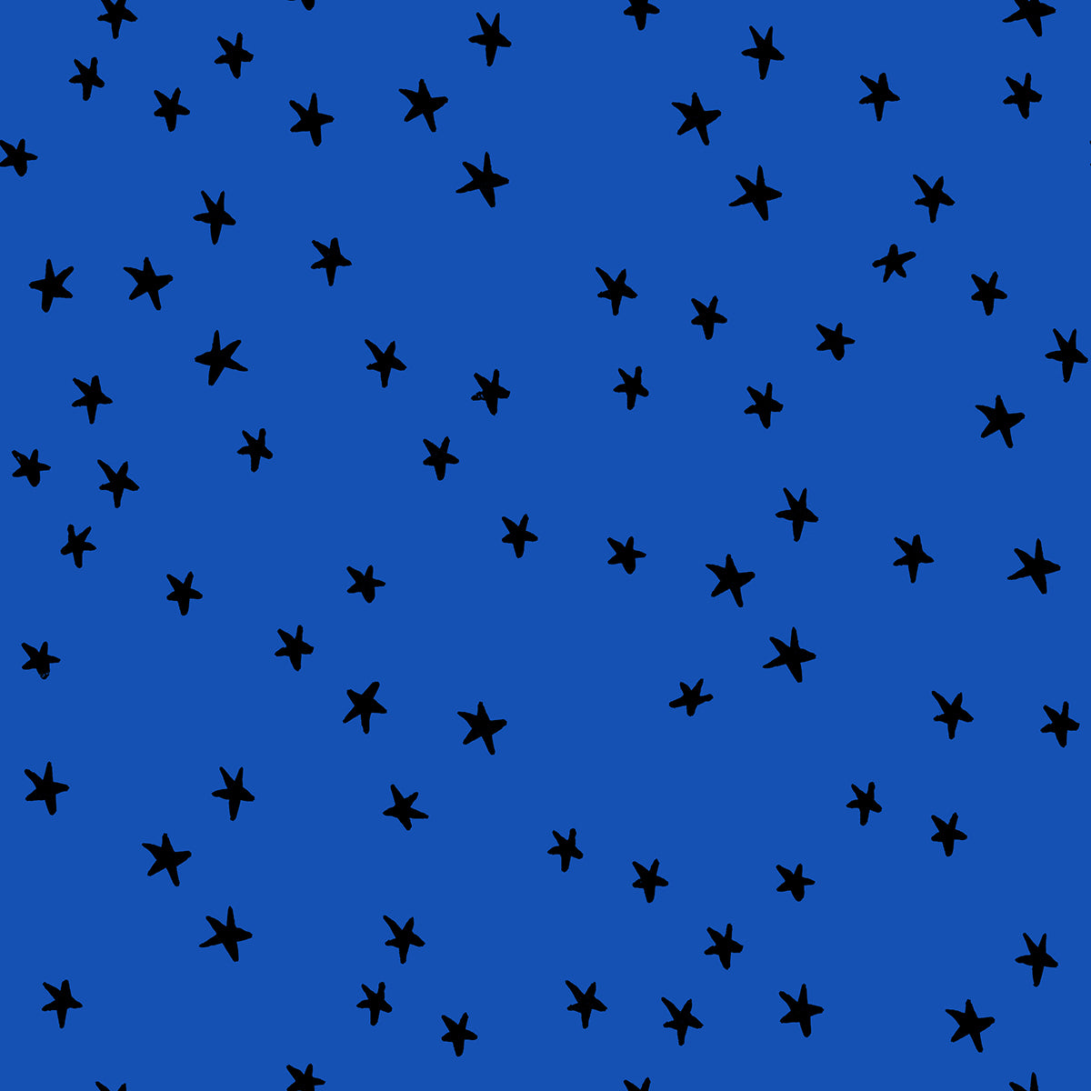 Starry / Blue Ribbon