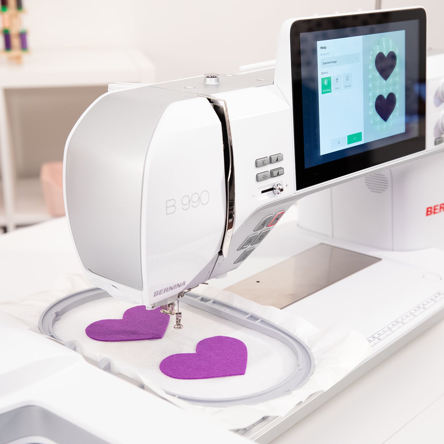 Bernina StitchWise: The Ultimate Bernina