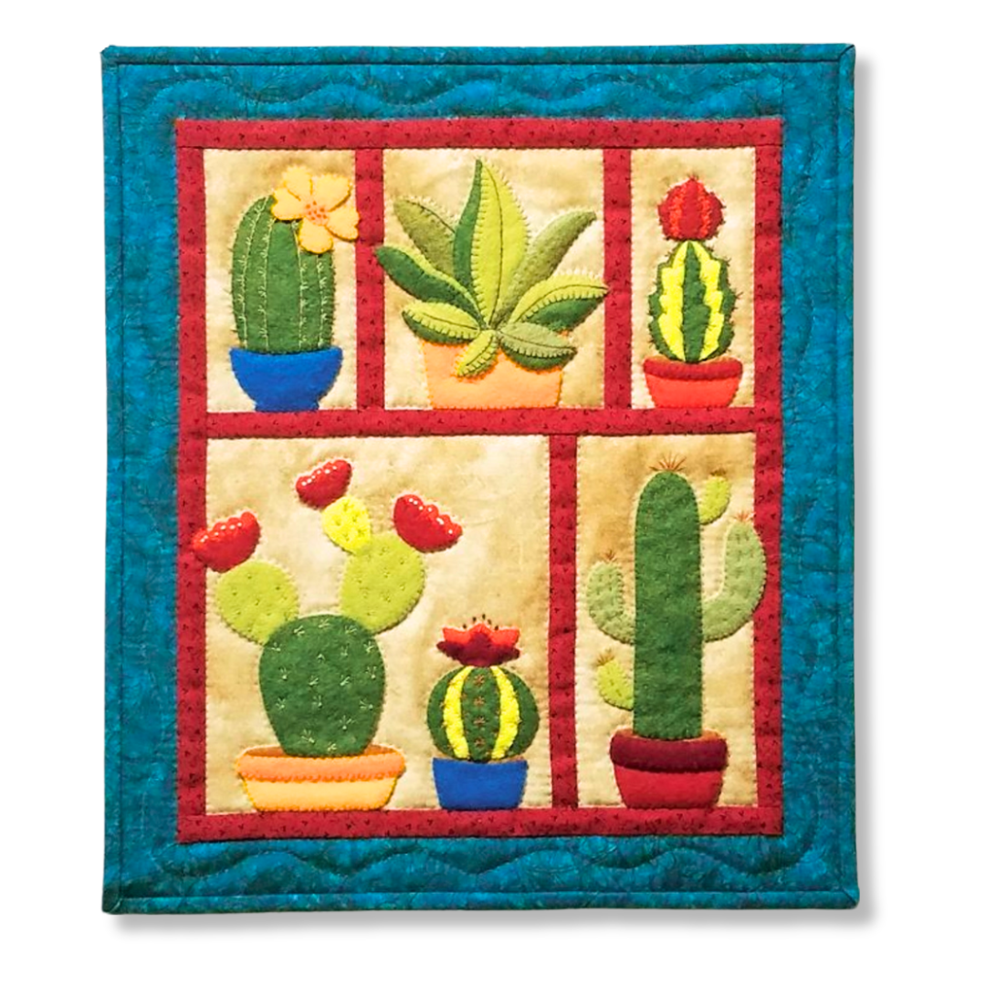 Succulent Wall Hanging Kit