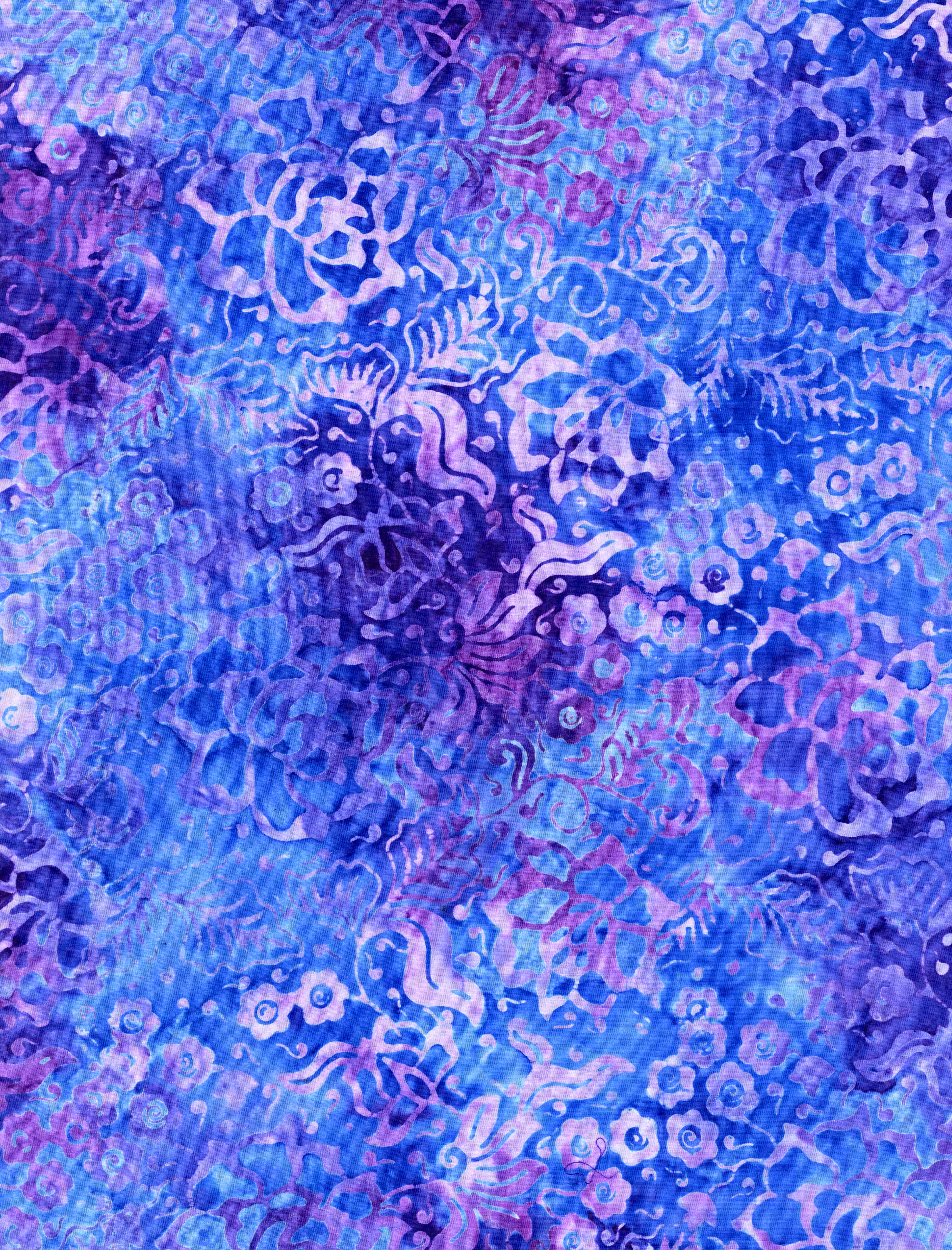 Dreamer / Tonga in Fantasy