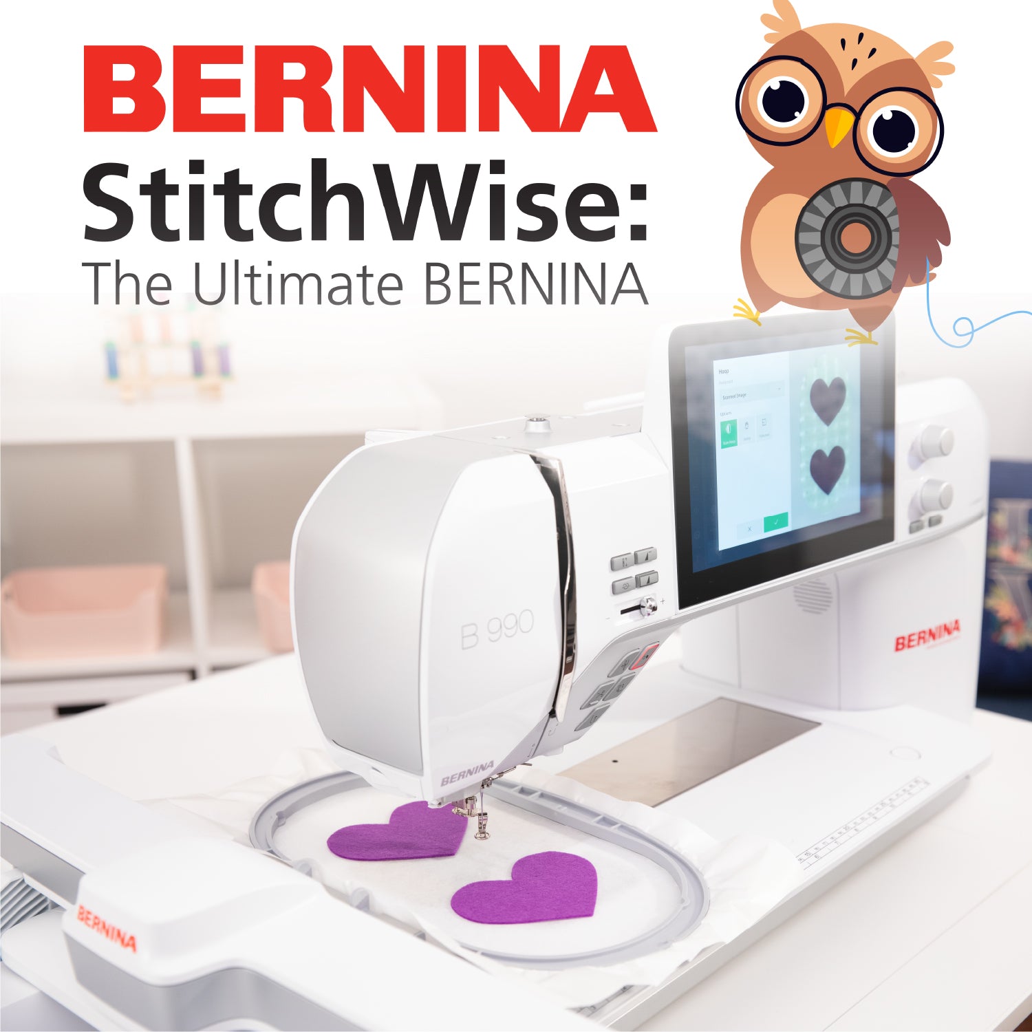 Bernina StitchWise: The Ultimate Bernina