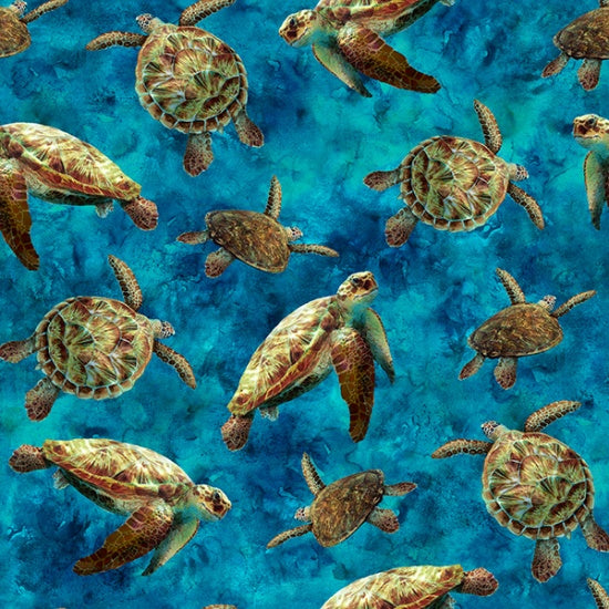 Tides of Color / Sea Turtles