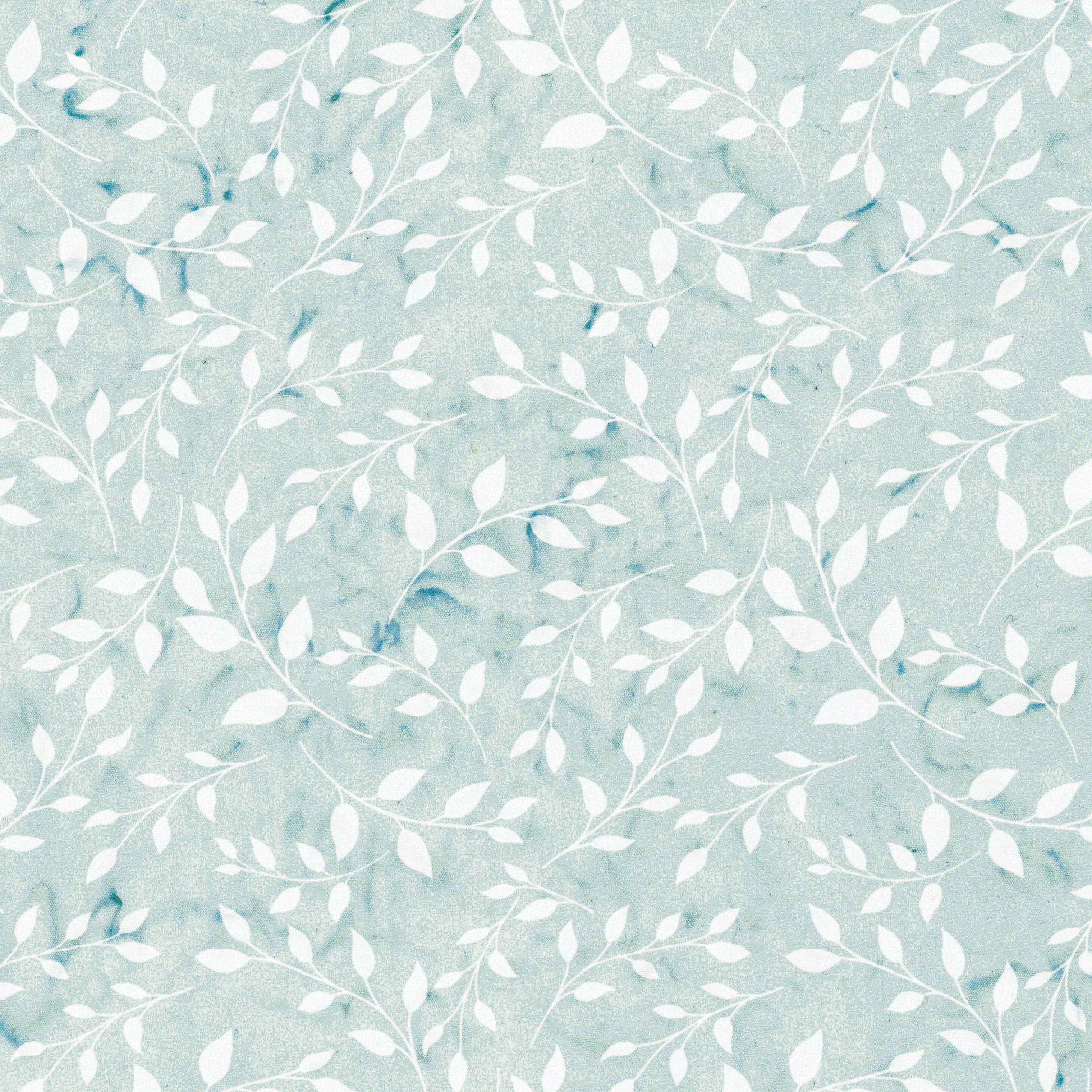 Sandy / Vines in Snow