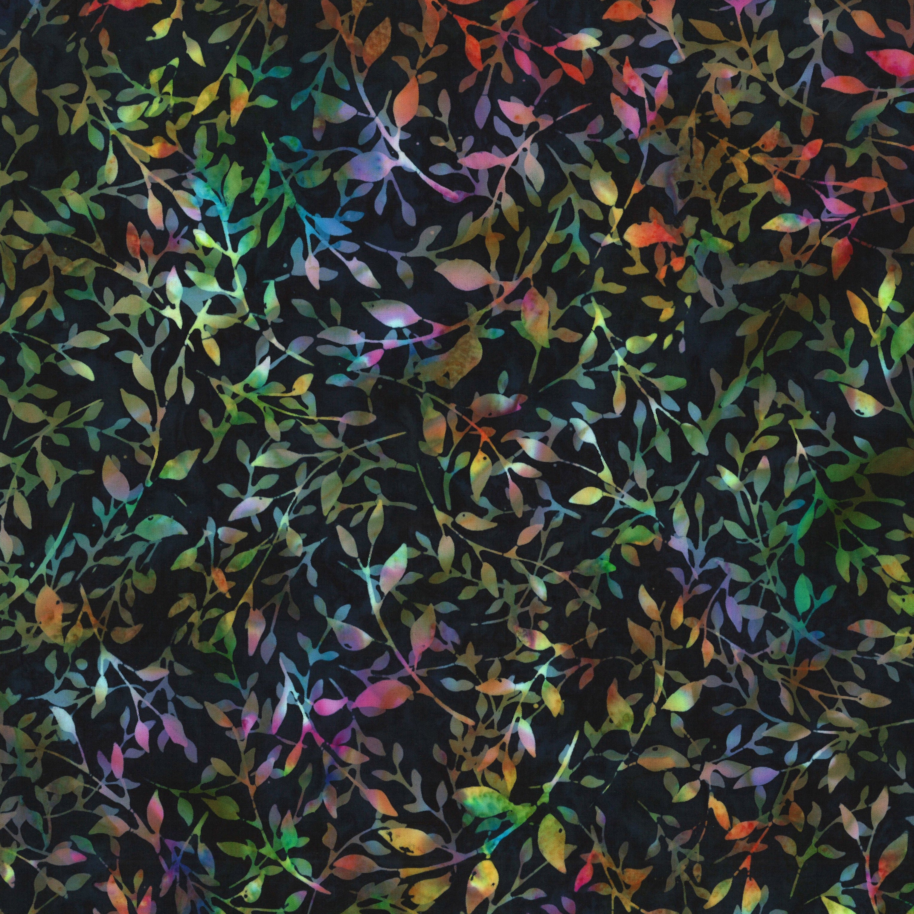 Night Sky / Vines in Aurora