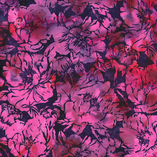 Amethyst / Large Blooms in New Grape