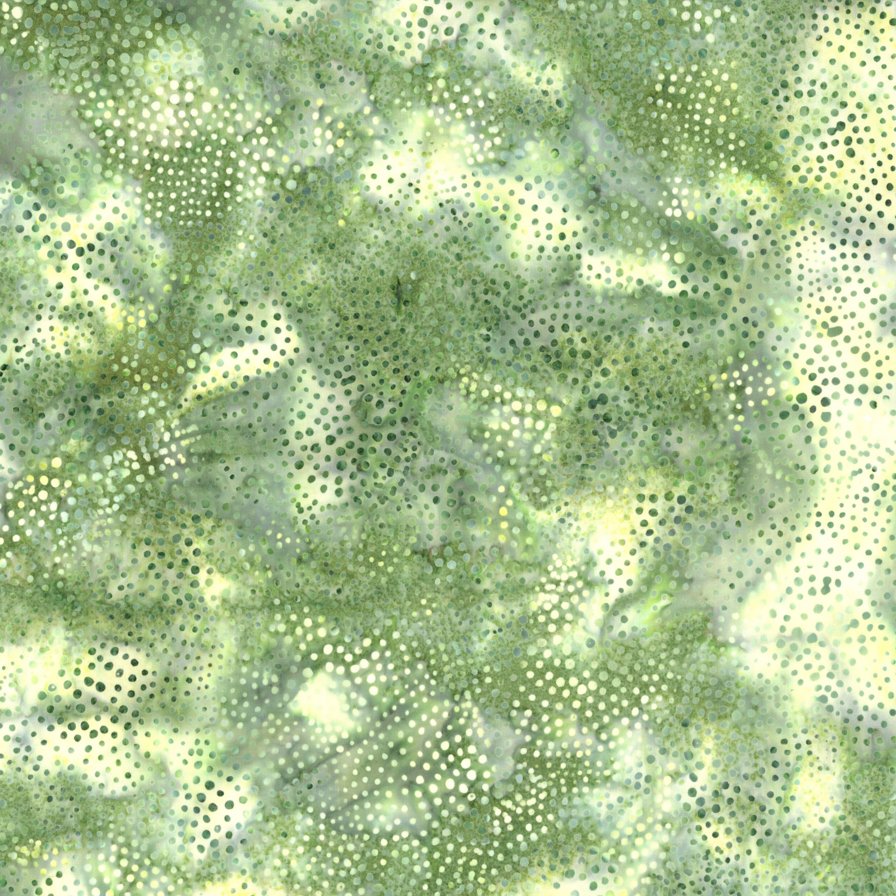 Fauna / Circular Dots in Parsley