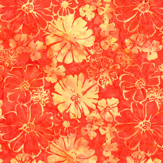 Monarch Migration / Flowers in Sherbert