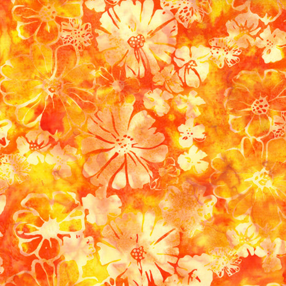 Monarch Migration / Flowers in Sunny